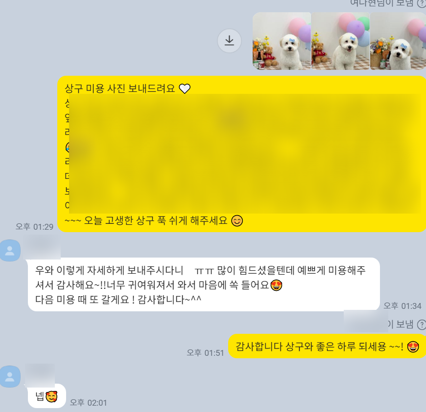 강아지 첫 미용, 스타몽에서 행복한 기억 만들기 — 사진 4
