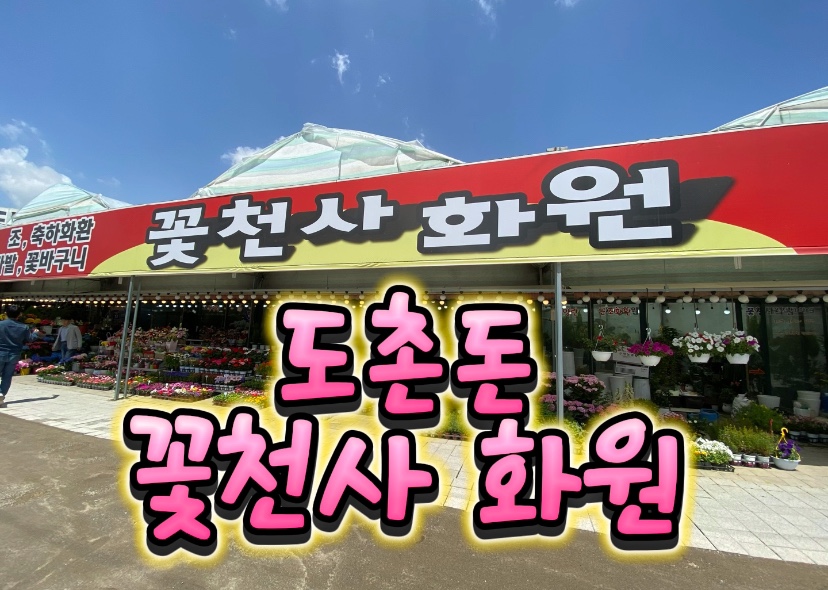 천사꽃화원 이미지