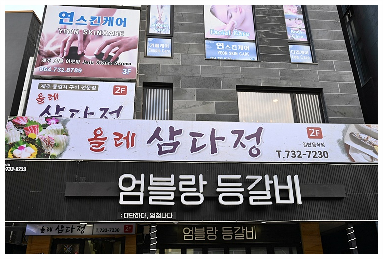 바로올레 이미지