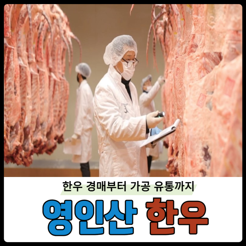 영인산한우 이미지