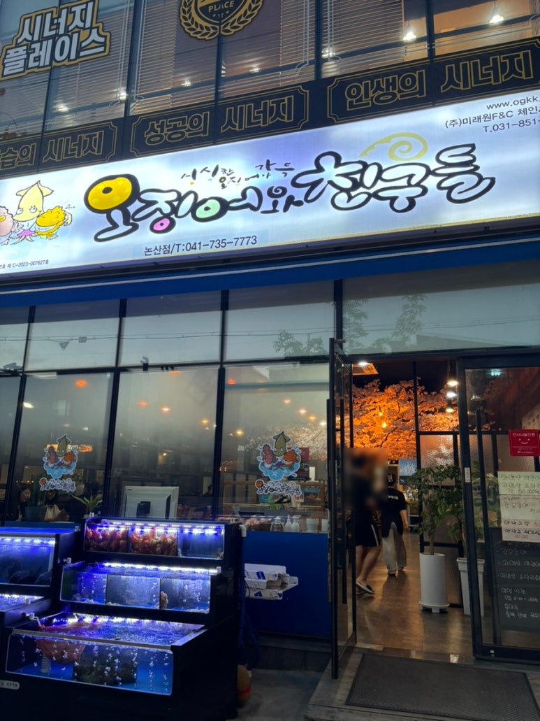 오징어 와 친구들 이미지