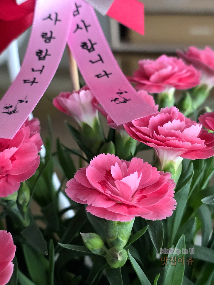 충대꽃화원 이미지