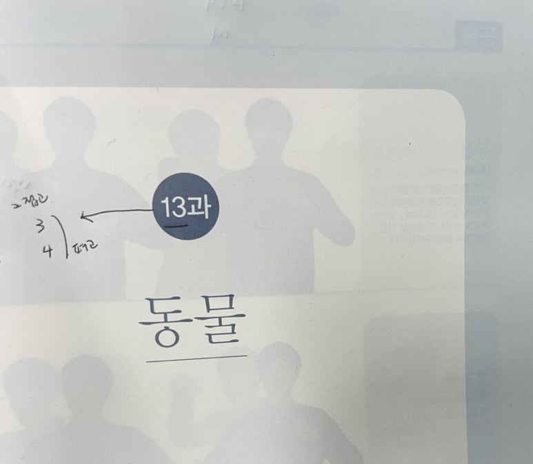 여우날다 이미지