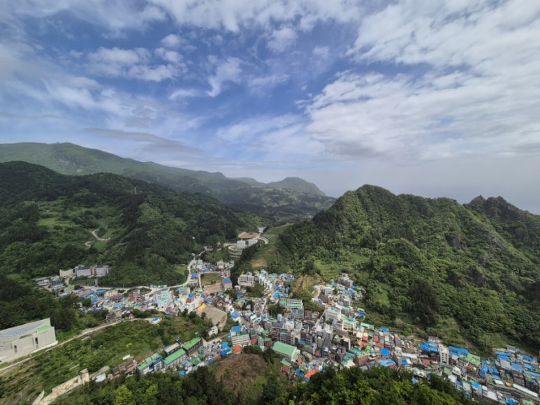 울릉도회산오징어 이미지