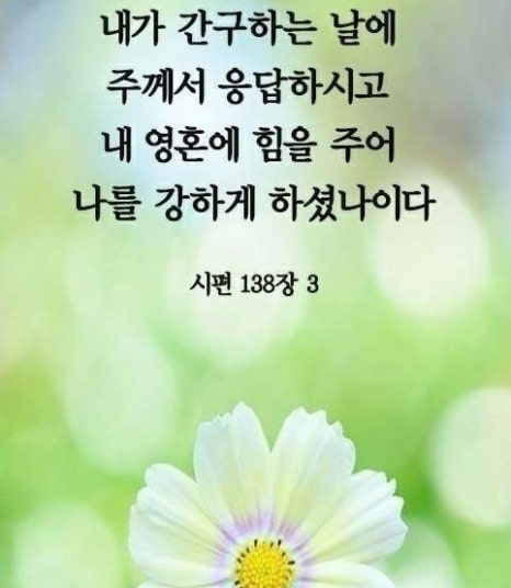 하늘과열매(주) 이미지