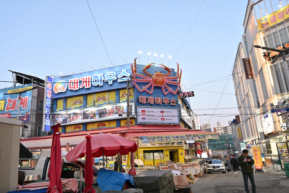 기장시장대게 이미지