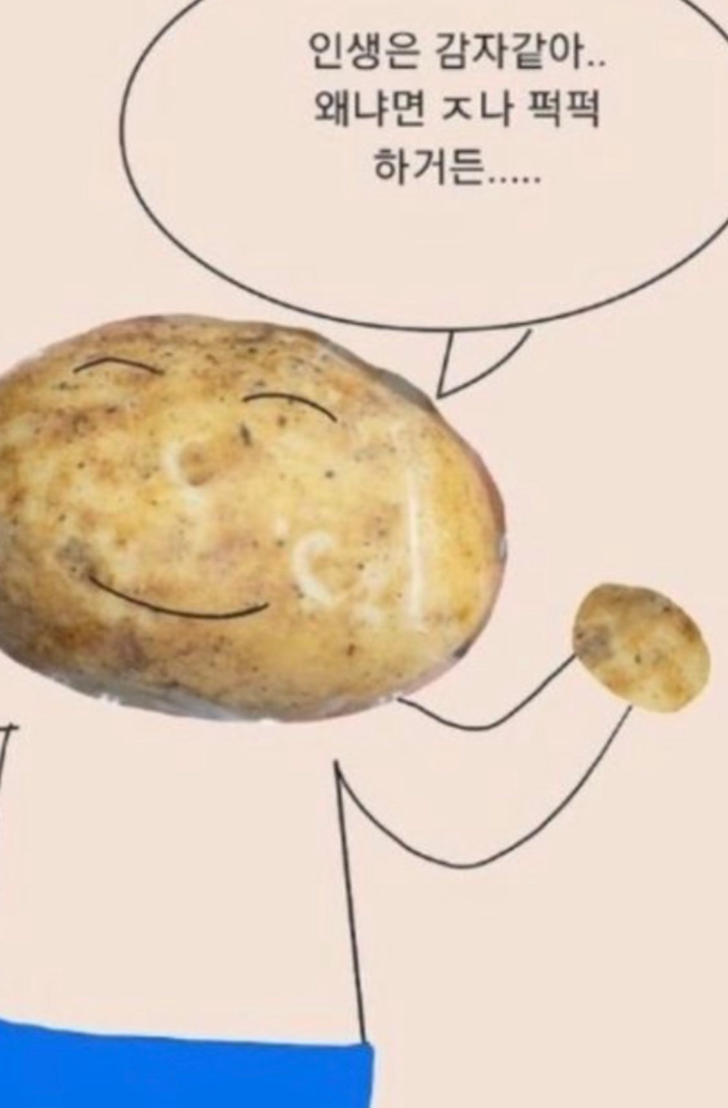 백청사 이미지