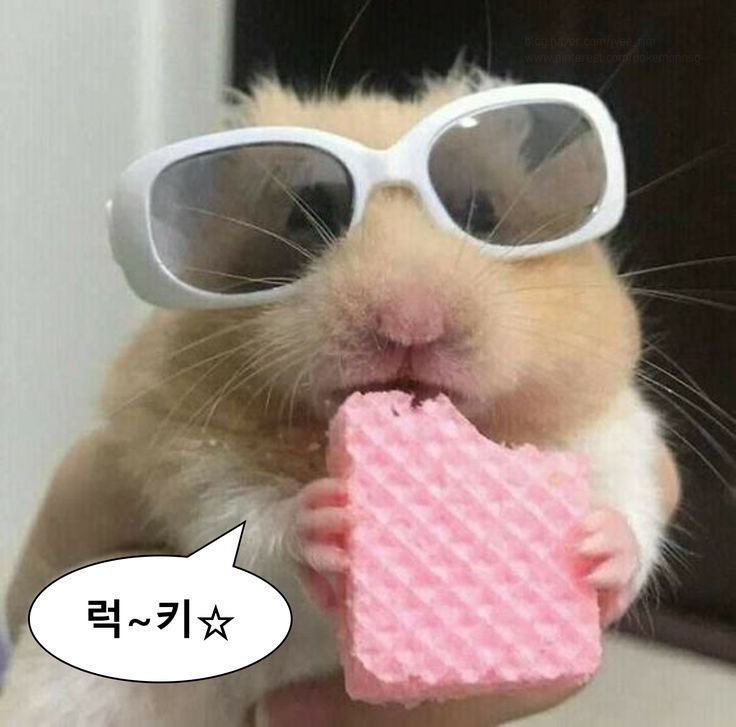 마일더스 이미지