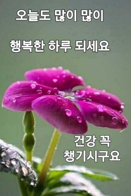 에이스환경 이미지