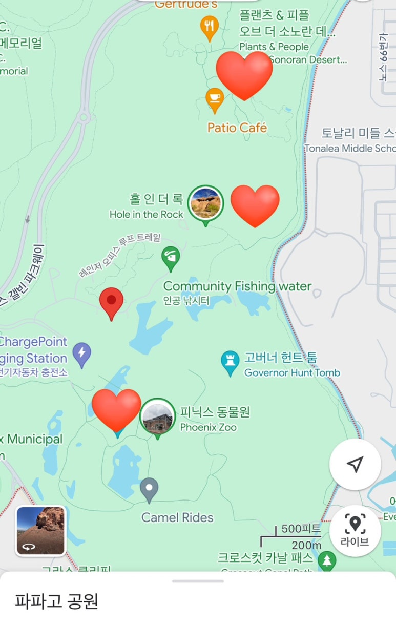 스카이필드트립 이미지