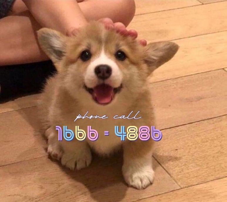지엑스휘트니스센터 이미지