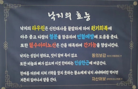 낙지야낙지야 이미지