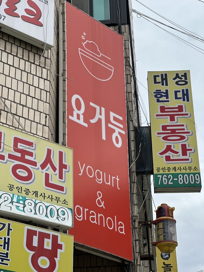 요거둥 이미지