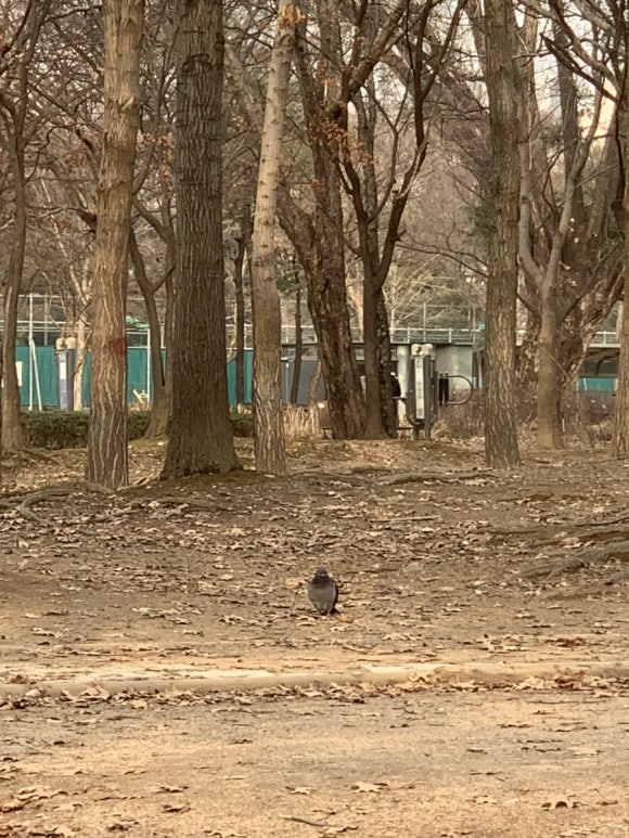 레베카 윤 이미지
