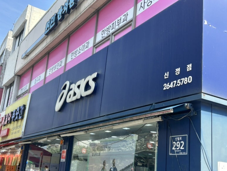 신정아식스 이미지