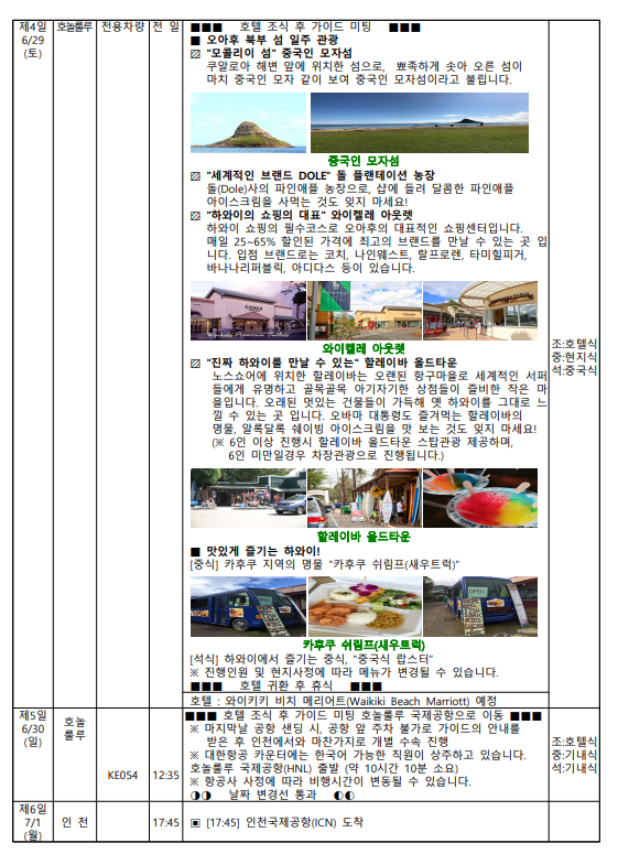 대원항공여행사 이미지