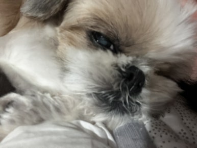 짱구헤어샵 이미지