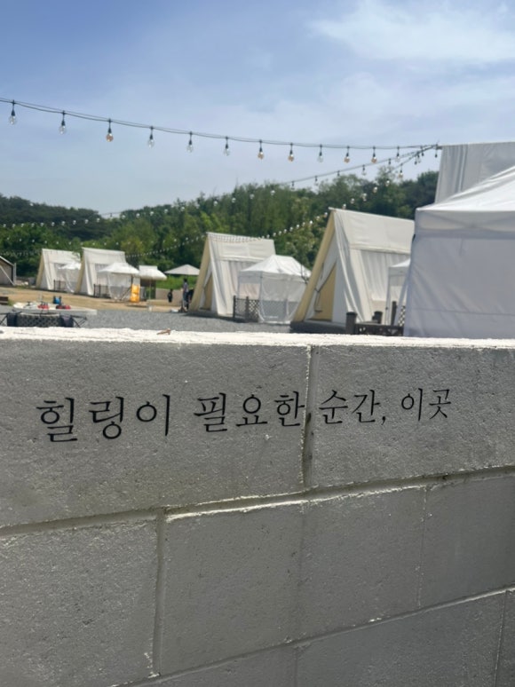논논캠프 이미지