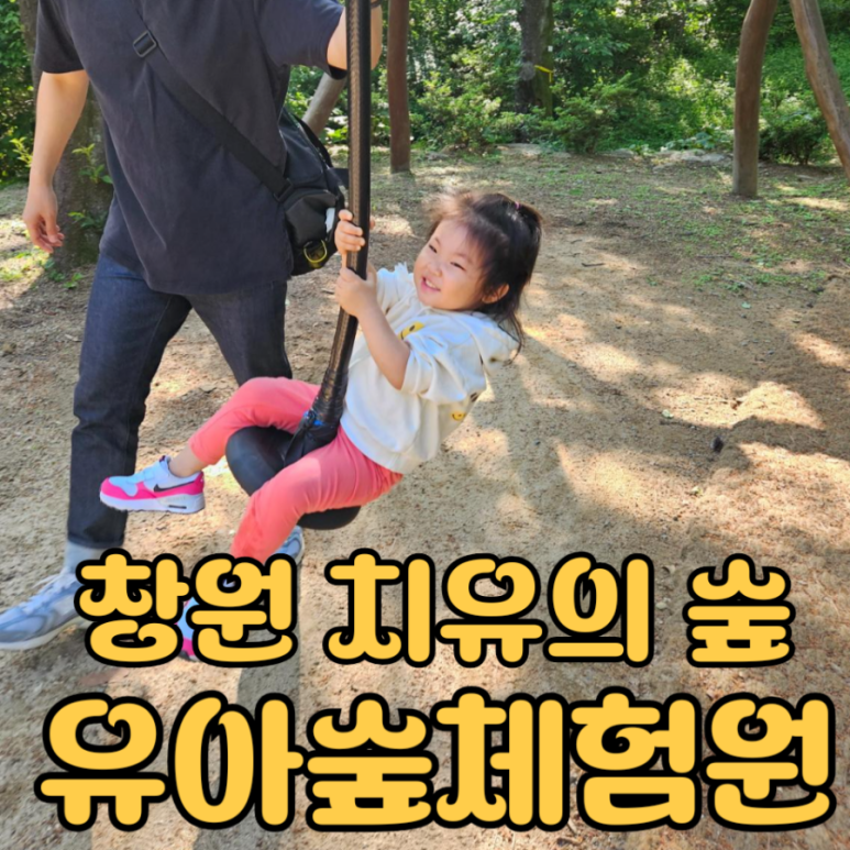 창원 편백치유의숲 유아숲체험원 이미지