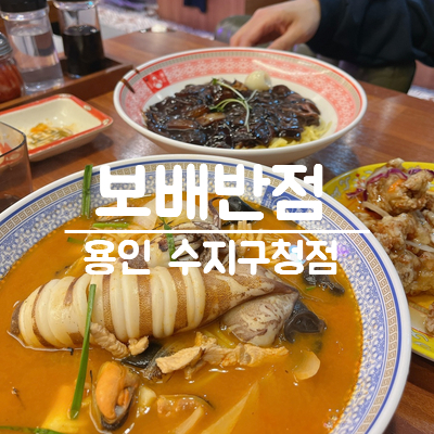 보배반점용인 이미지