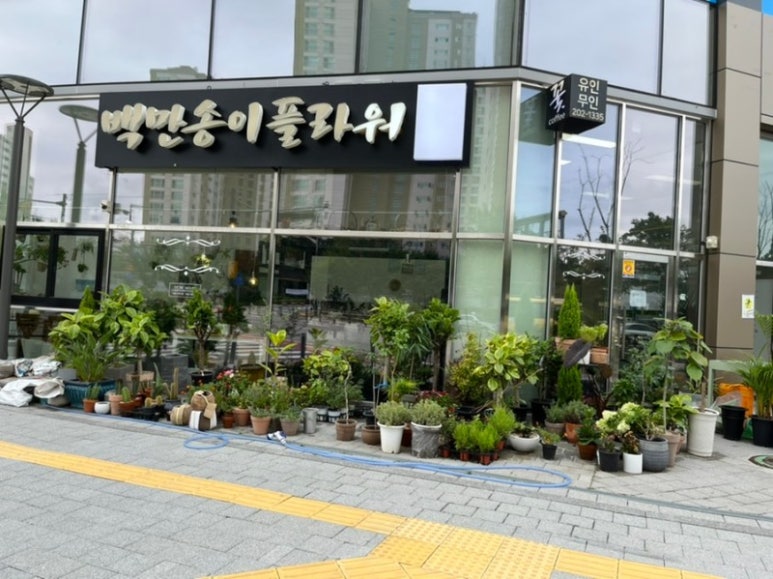 백만송이플라워 이미지