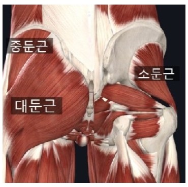 업투압구정로데오역점 이미지