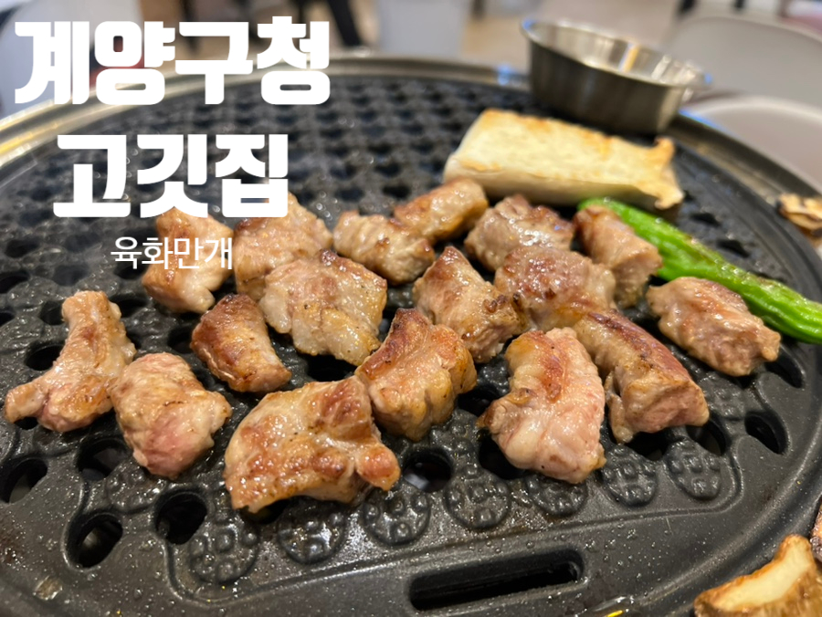 육화만개 이미지