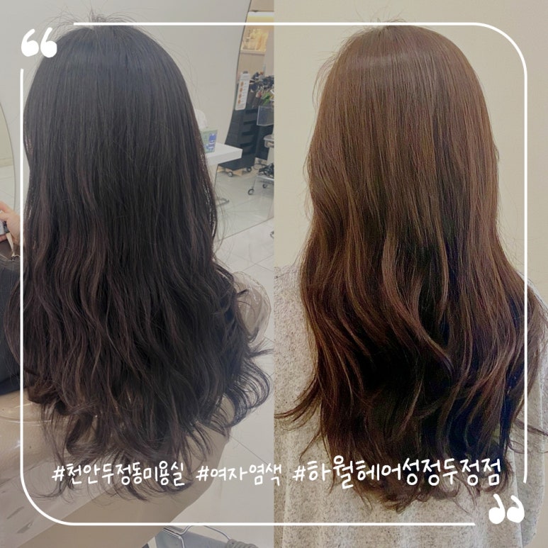 하월헤어성정두정점 이미지