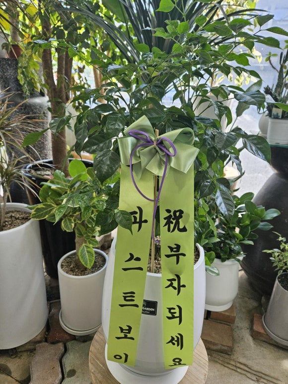 영플라워샵 이미지