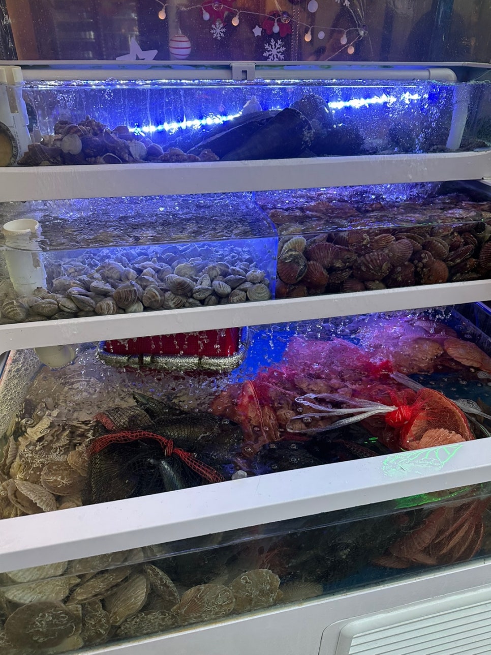 일산조개구이 이미지