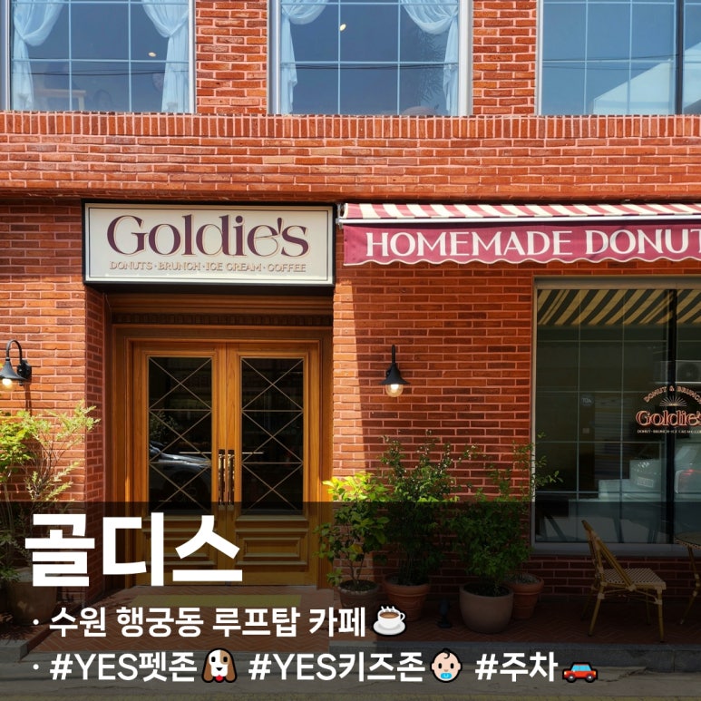 골디스 이미지