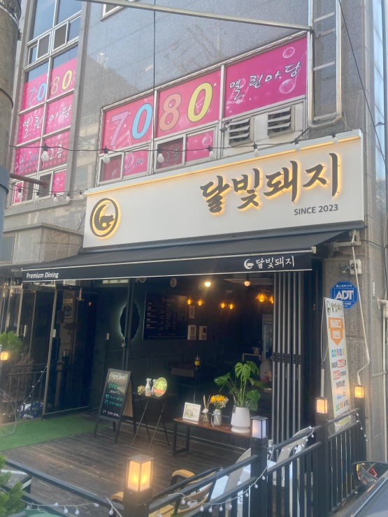 달빛돼지 이미지
