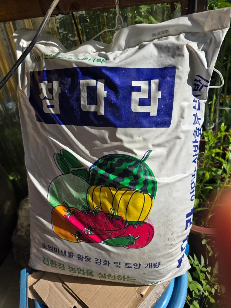 흥농농약종묘 이미지