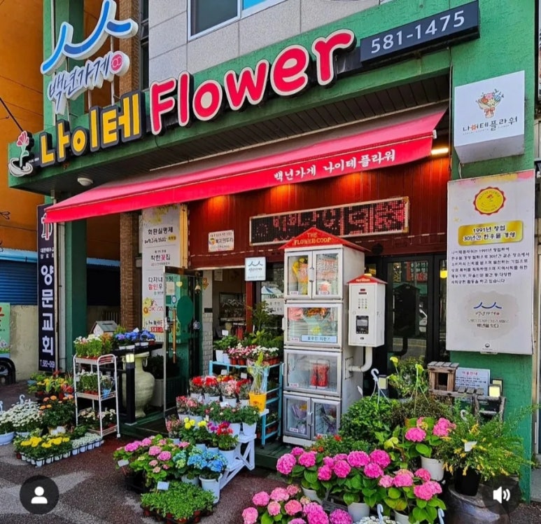 나이테플라워 이미지