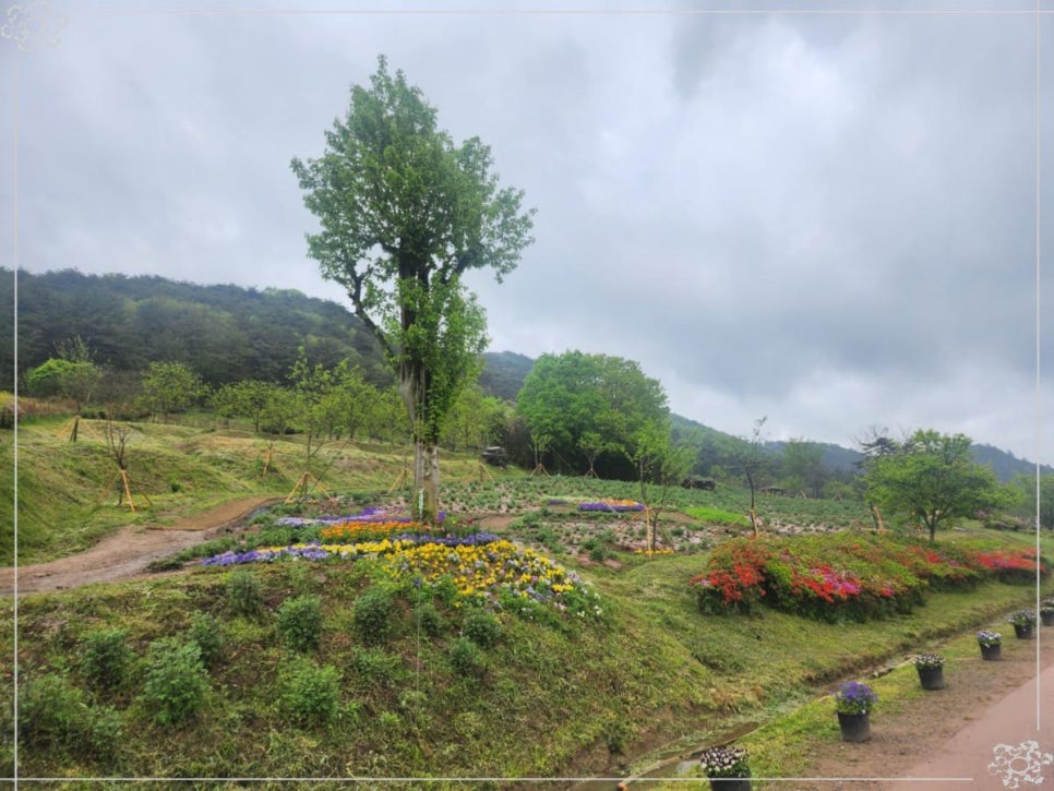 모산고인돌한옥민박 이미지