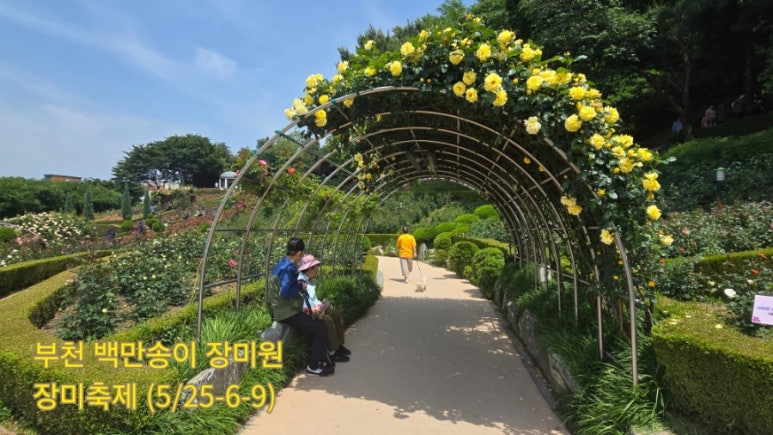 화원꽃마을 이미지