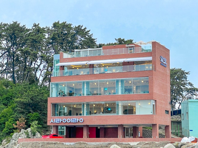 시랑 이미지