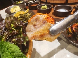 돼지도온 이미지
