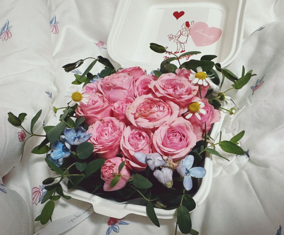 아마란디 이미지