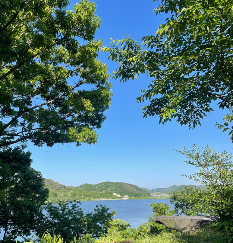 옥산호수정원진달래관광농원 이미지