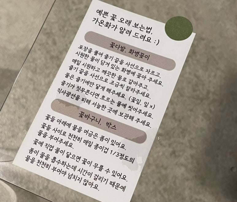 가온화 이미지