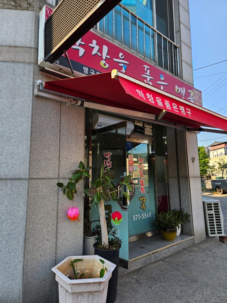 막창을품은맹구 이미지