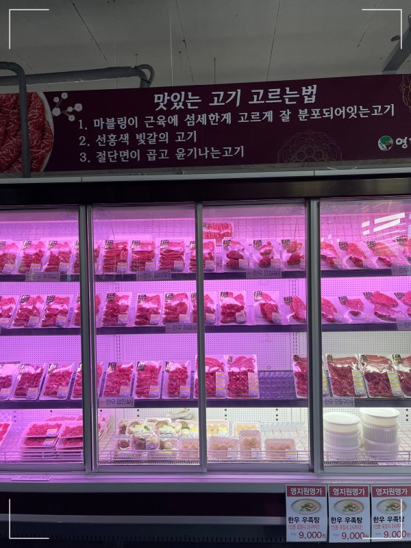 영지원 명가 이미지