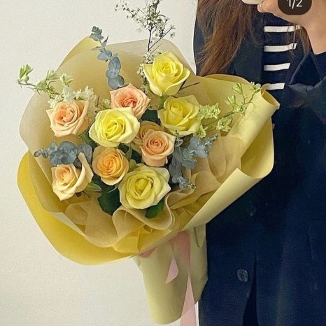 그리니크 이미지
