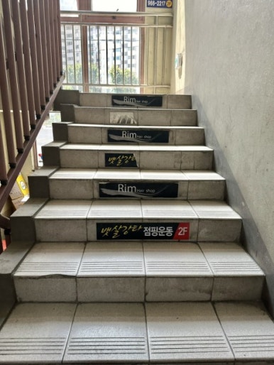 핑다이어트 이미지