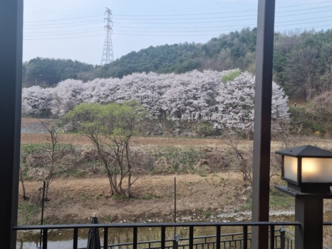 도토리캠핑장 이미지