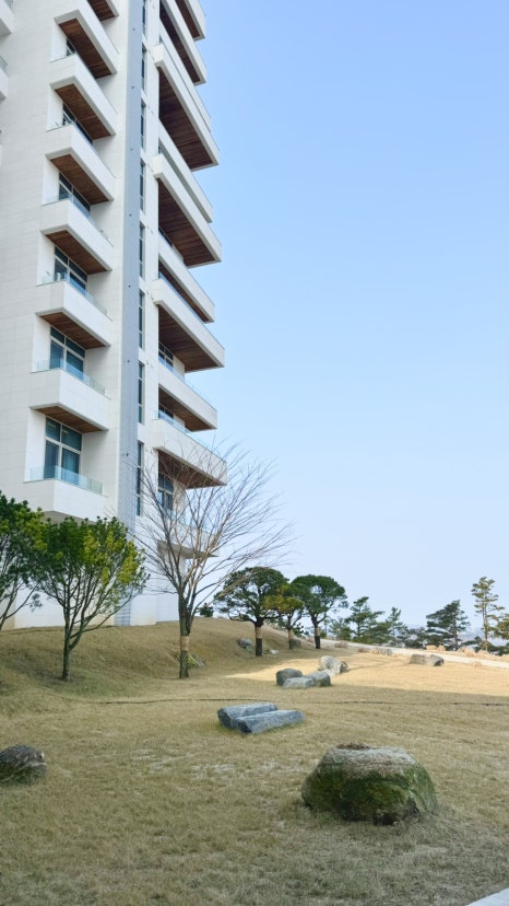 더헤븐라이프 이미지