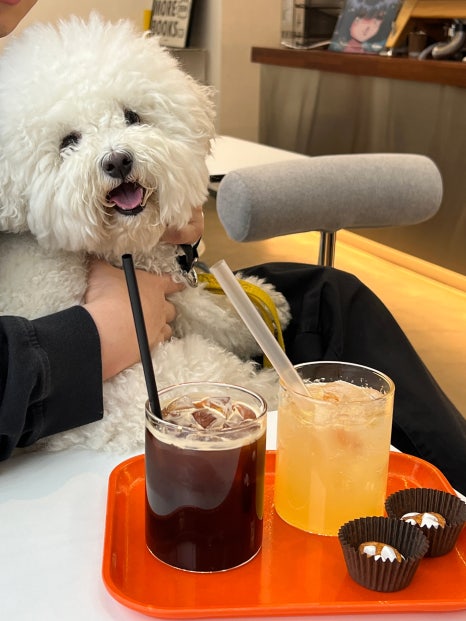 여울커피맥주 이미지