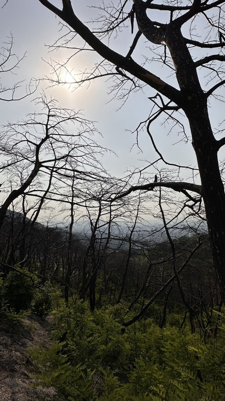산불진화 고압수관 보관함 이미지