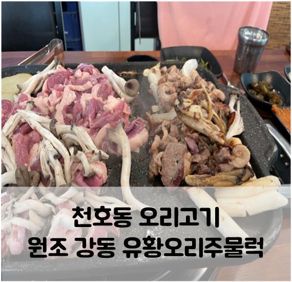 원조유황오리 이미지